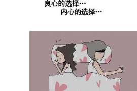 婚前个人调查取证