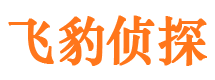 六合市私家侦探